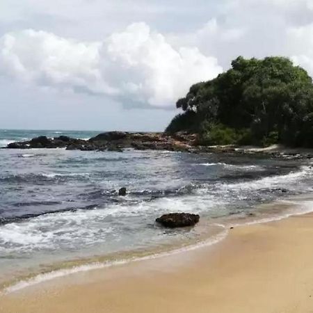 Turtles View Resort Tangalle Extérieur photo