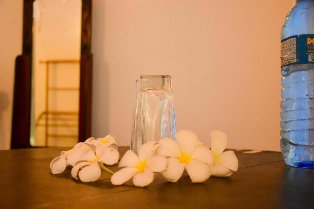 Turtles View Resort Tangalle Extérieur photo