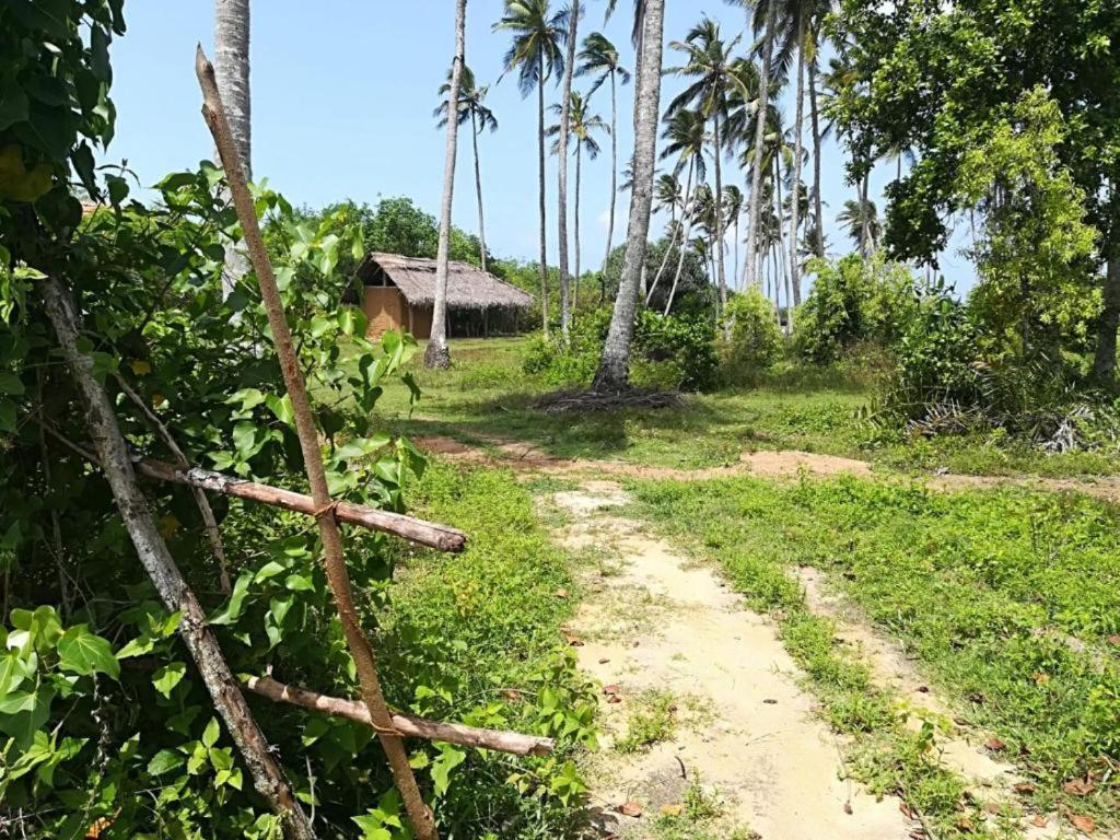 Turtles View Resort Tangalle Extérieur photo