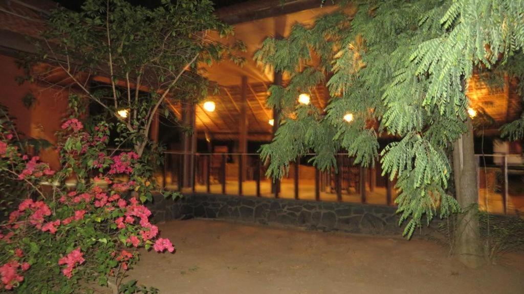 Turtles View Resort Tangalle Extérieur photo