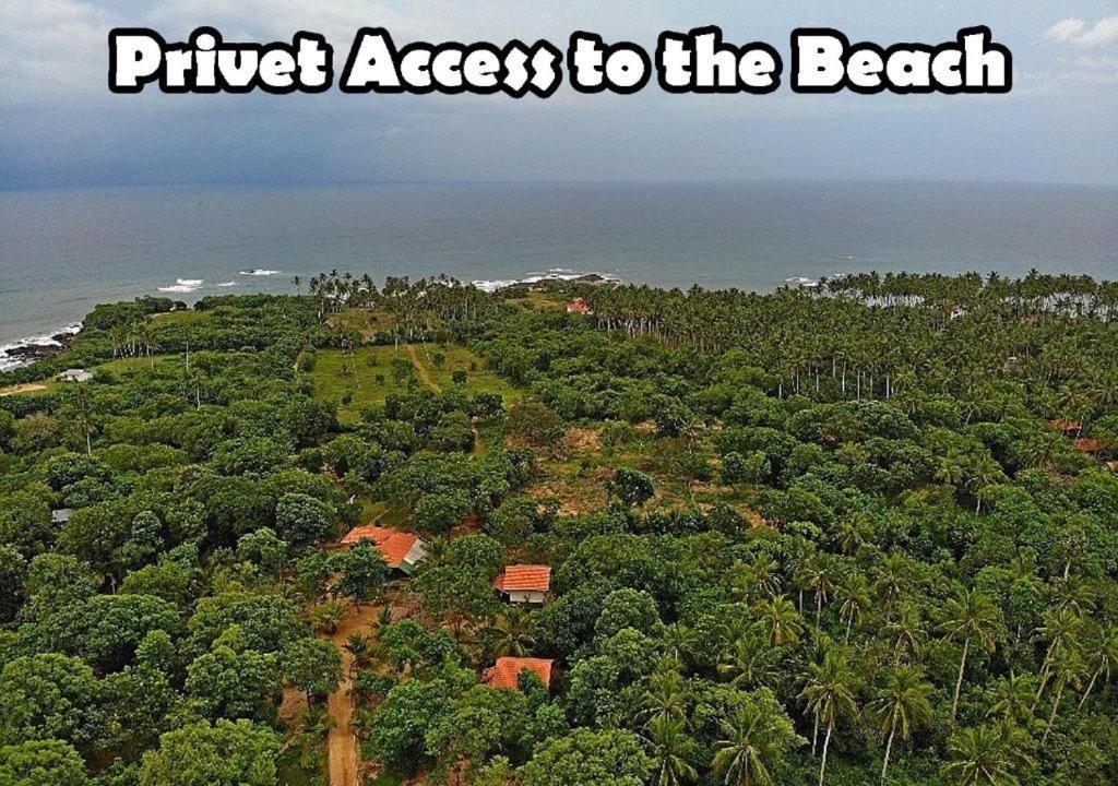 Turtles View Resort Tangalle Extérieur photo