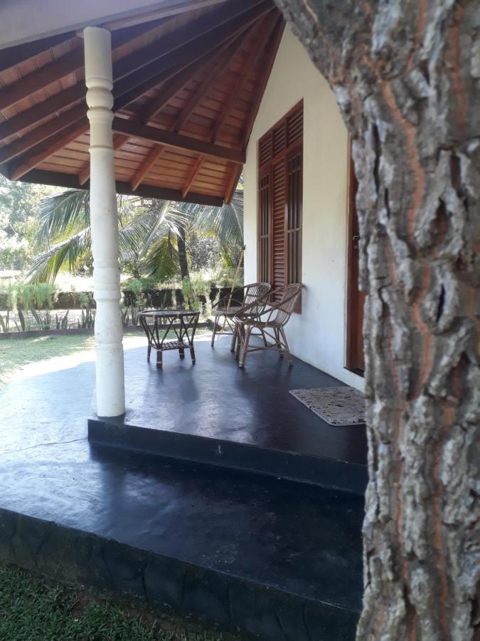 Turtles View Resort Tangalle Extérieur photo