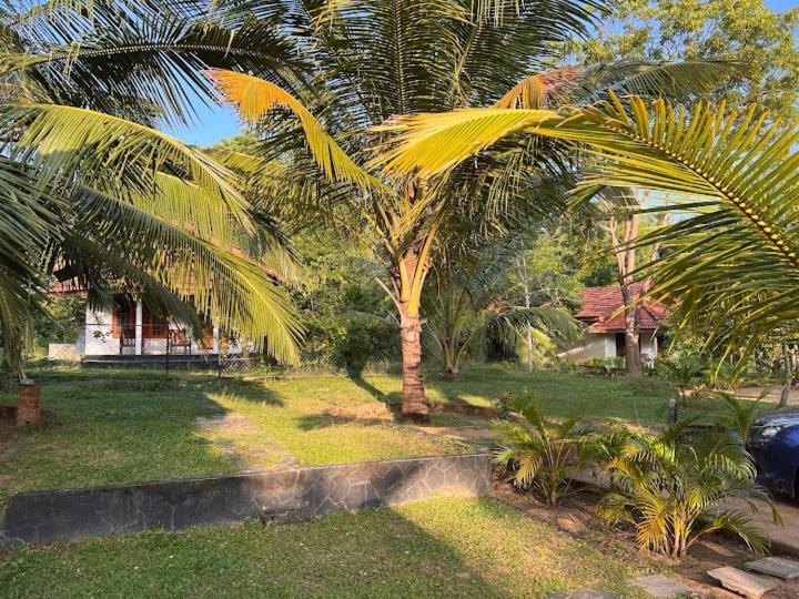 Turtles View Resort Tangalle Extérieur photo