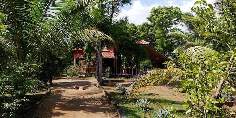 Turtles View Resort Tangalle Extérieur photo